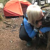 Review photo of Cougar Rock Campground — Mount Rainier National Park by Sarah S., October 6, 2018