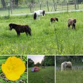 Review photo of Brookhaven Mill Farm by Karen M., April 23, 2023