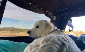 Teresa F.'s photo of camping with pets at A Spark in the Dark near Seligman, AZ