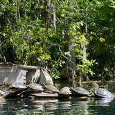 Review photo of Silver Springs State Park Campground by Jennifer D., April 23, 2023