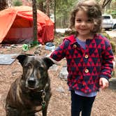 Review photo of Cougar Rock Campground — Mount Rainier National Park by Sarah S., October 6, 2018
