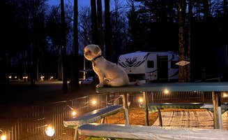 Melissa S.'s photo of camping with pets at Camp Holiday Campground near Mercer, WI