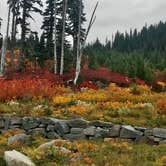 Review photo of Cougar Rock Campground — Mount Rainier National Park by Sarah S., October 6, 2018