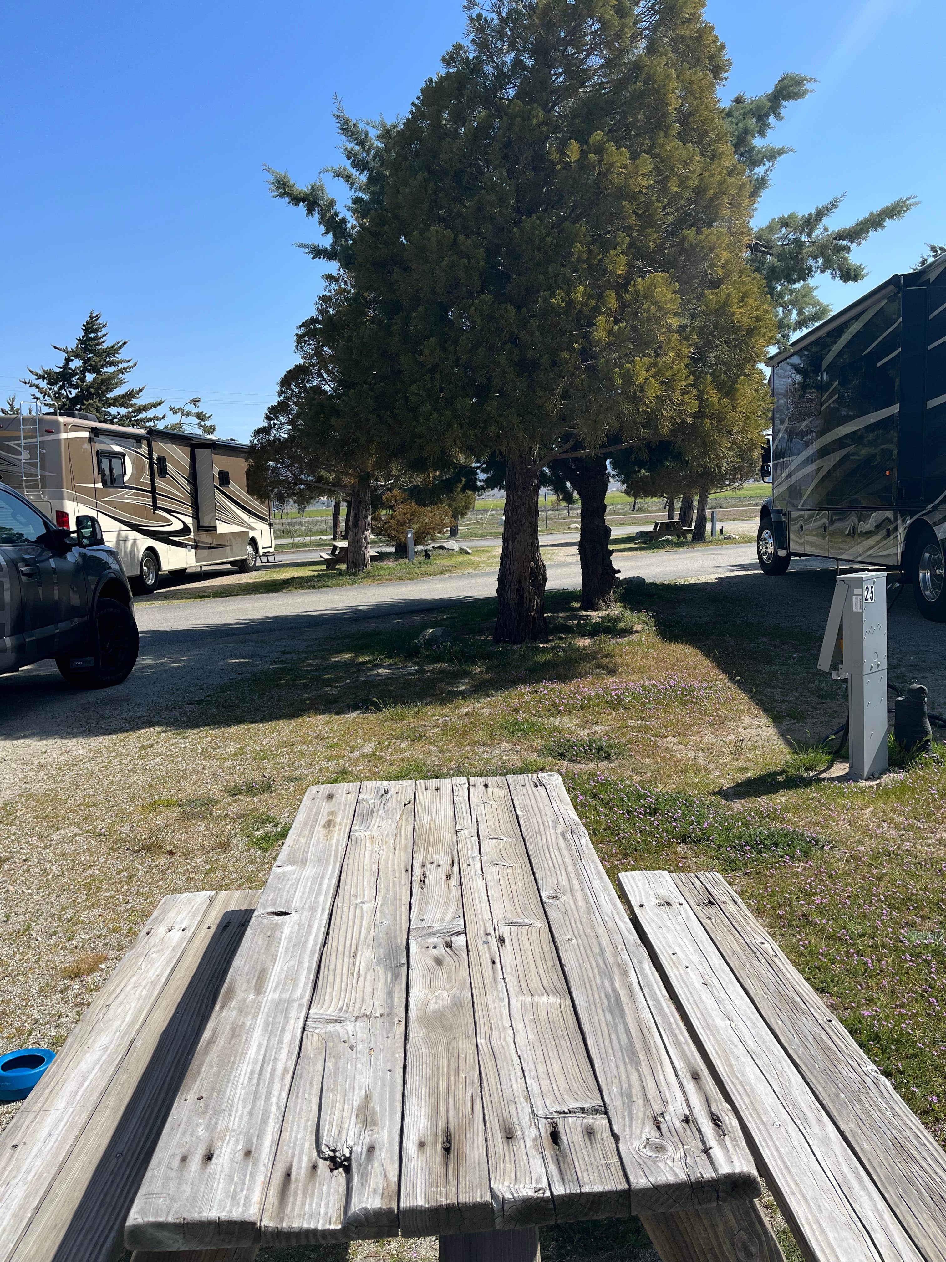 Camper-submitted photo at Mountain Valley RV Park near Mojave, CA