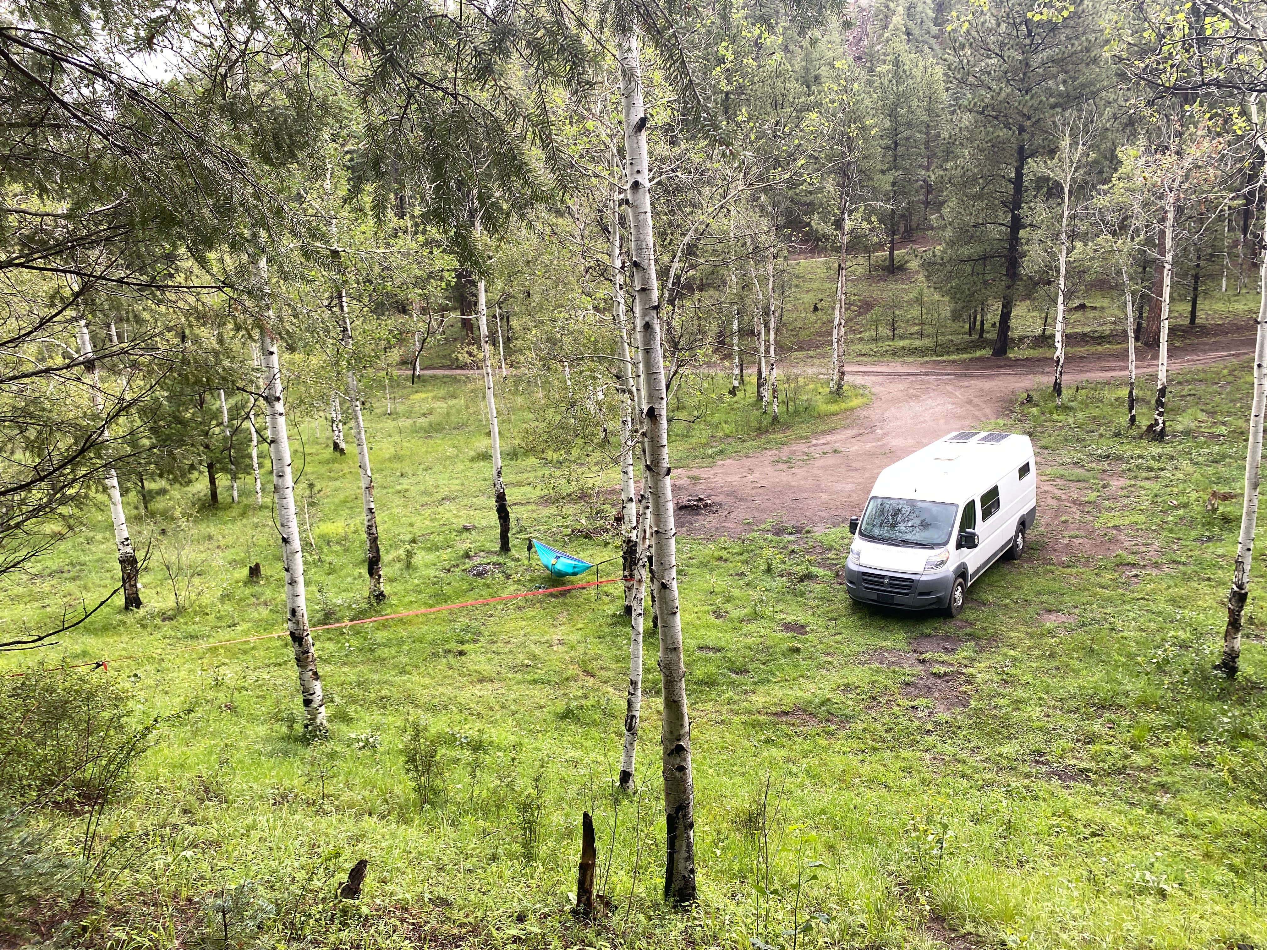 Camper submitted image from FR376 Dispersed - 5