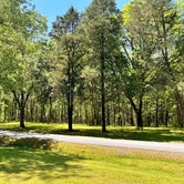 Review photo of COE Cordell Hull Lake Salt Lick Creek Campground by Christa P., April 23, 2023
