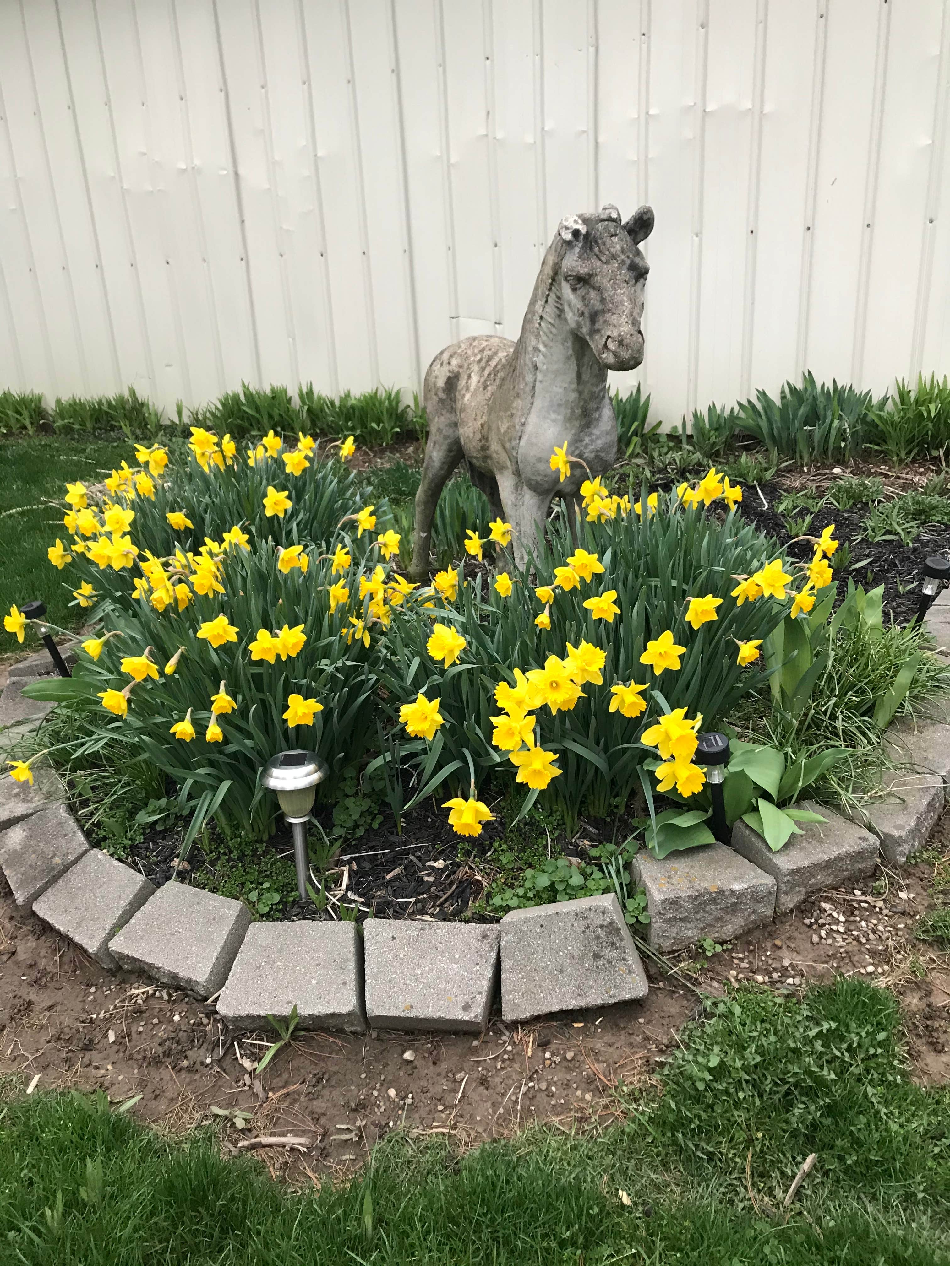 Camper-submitted photo at Buckeye Run Farm near Alum Creek Lake