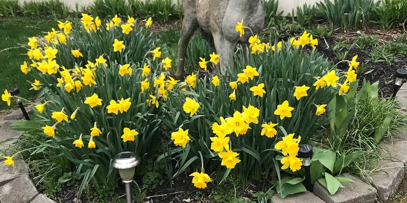 Camper submitted image from Buckeye Run Farm