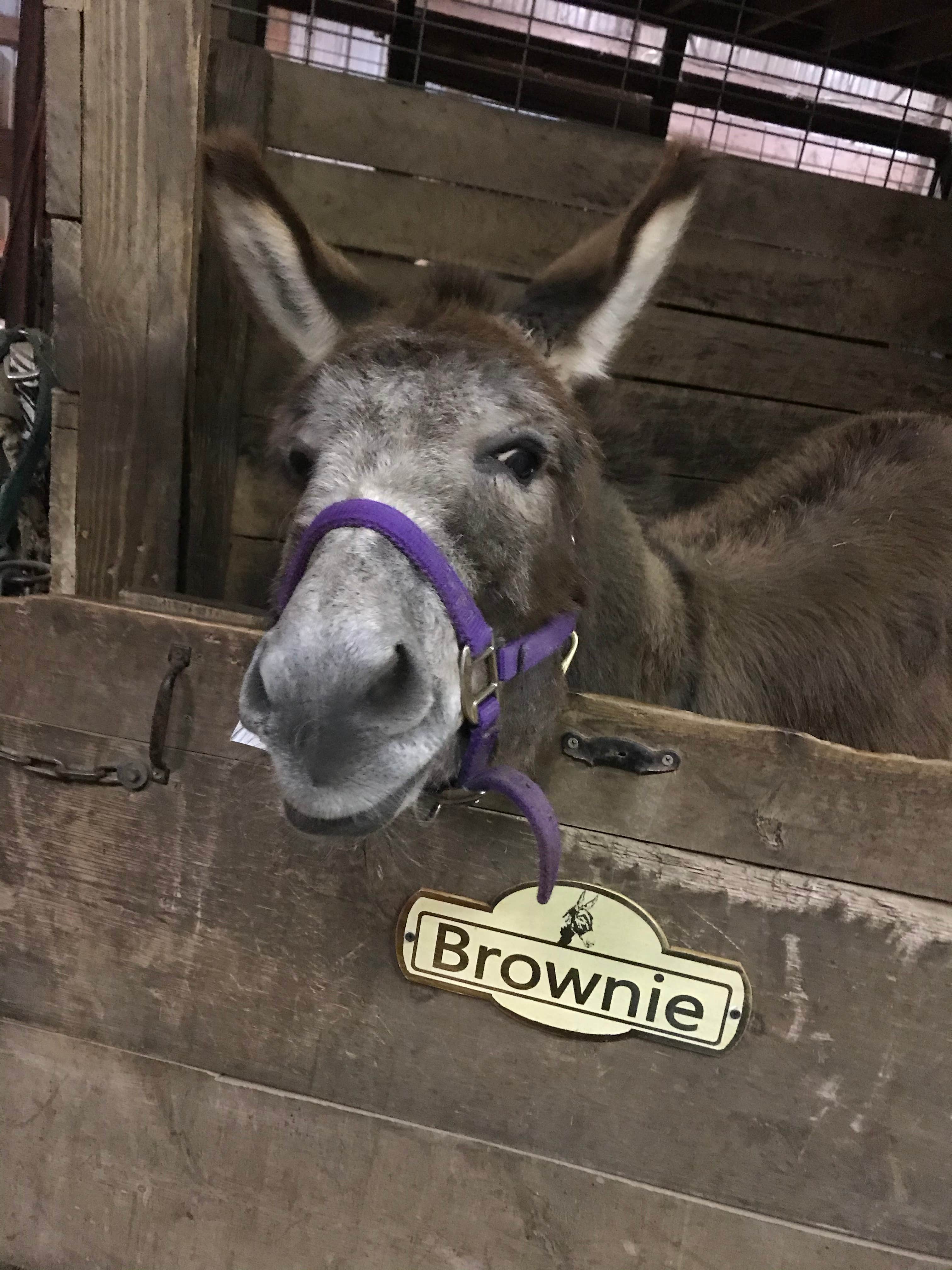 Camper-submitted photo at Buckeye Run Farm near Alum Creek Lake