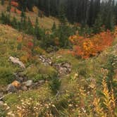Review photo of Cougar Rock Campground — Mount Rainier National Park by Sarah S., October 6, 2018