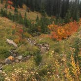 Review photo of Cougar Rock Campground — Mount Rainier National Park by Sarah S., October 6, 2018