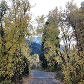 Review photo of Tanners Flat by Sara M., October 6, 2018