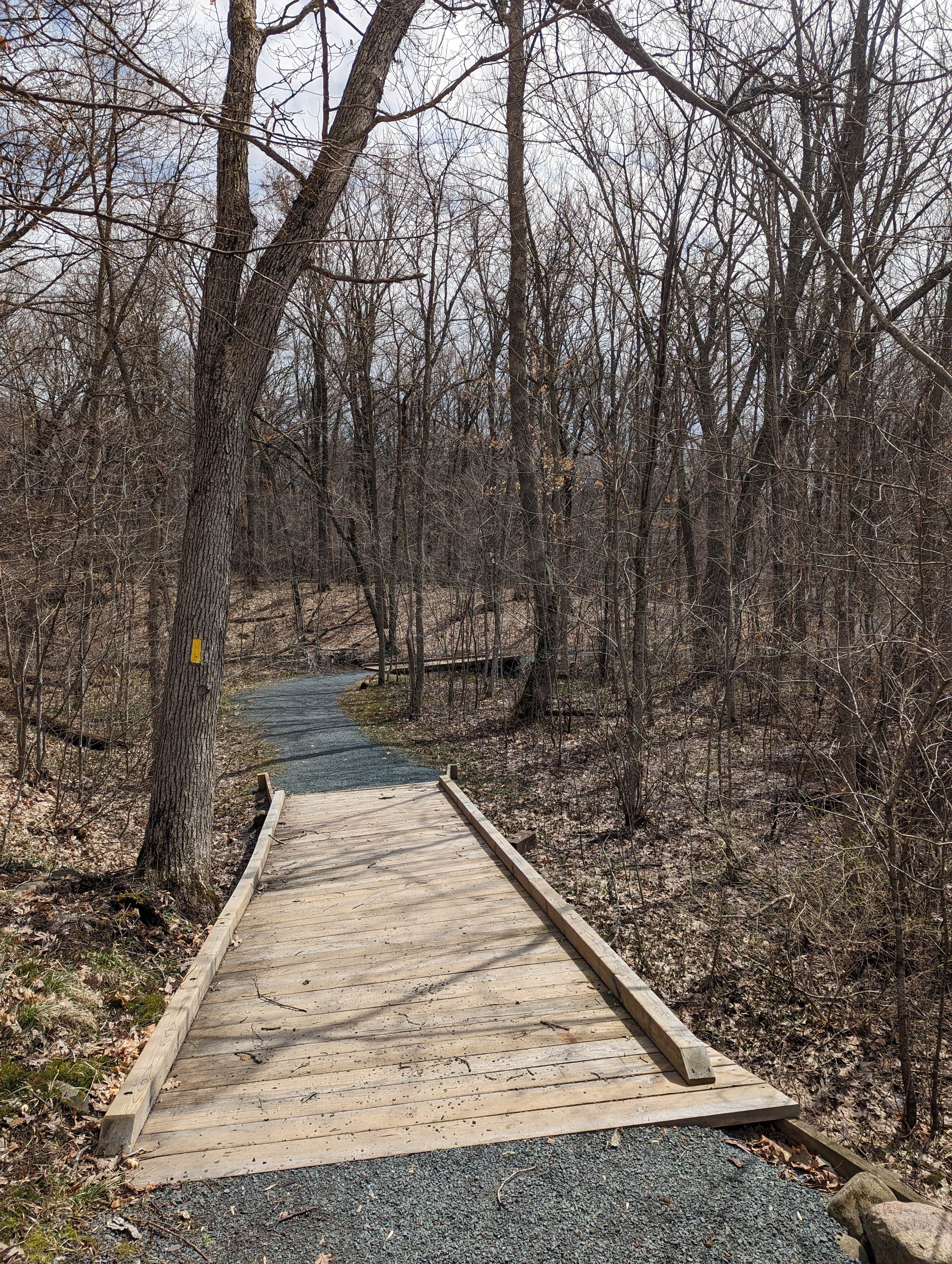 Camper submitted image from Sandy Cove on the St. Croix River - 5