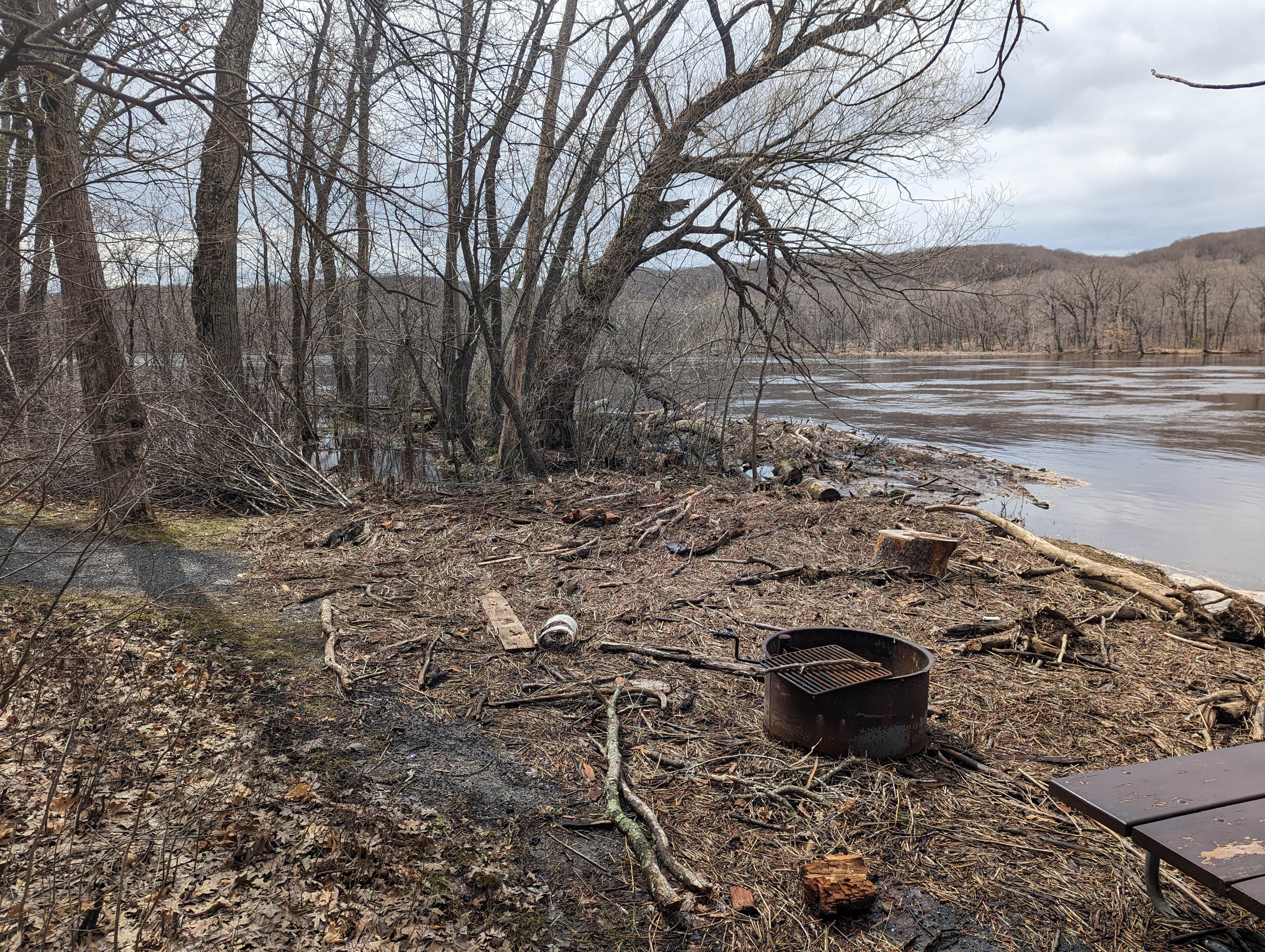 Camper submitted image from Sandy Cove on the St. Croix River - 3