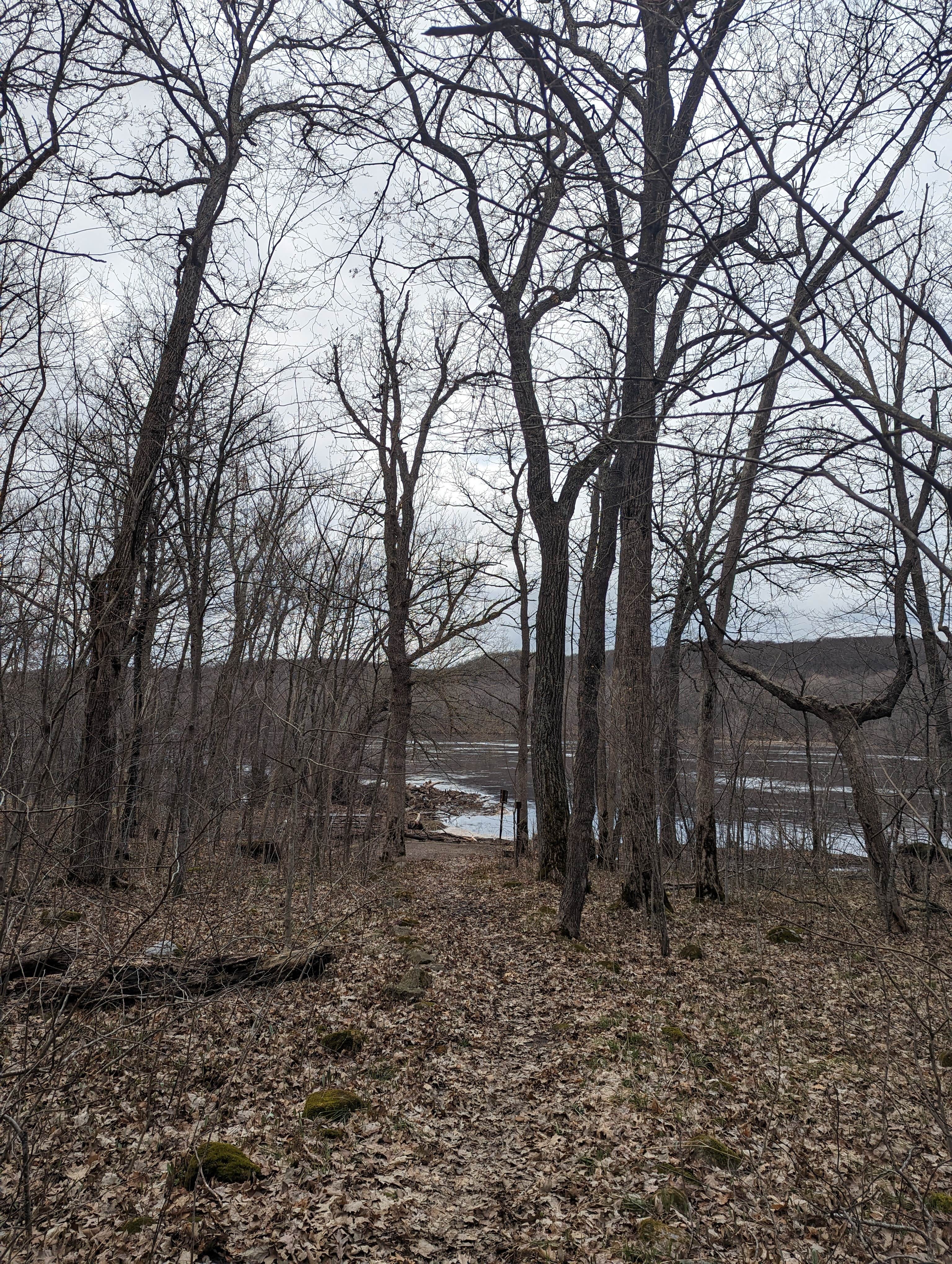 Camper submitted image from Sandy Cove on the St. Croix River - 2