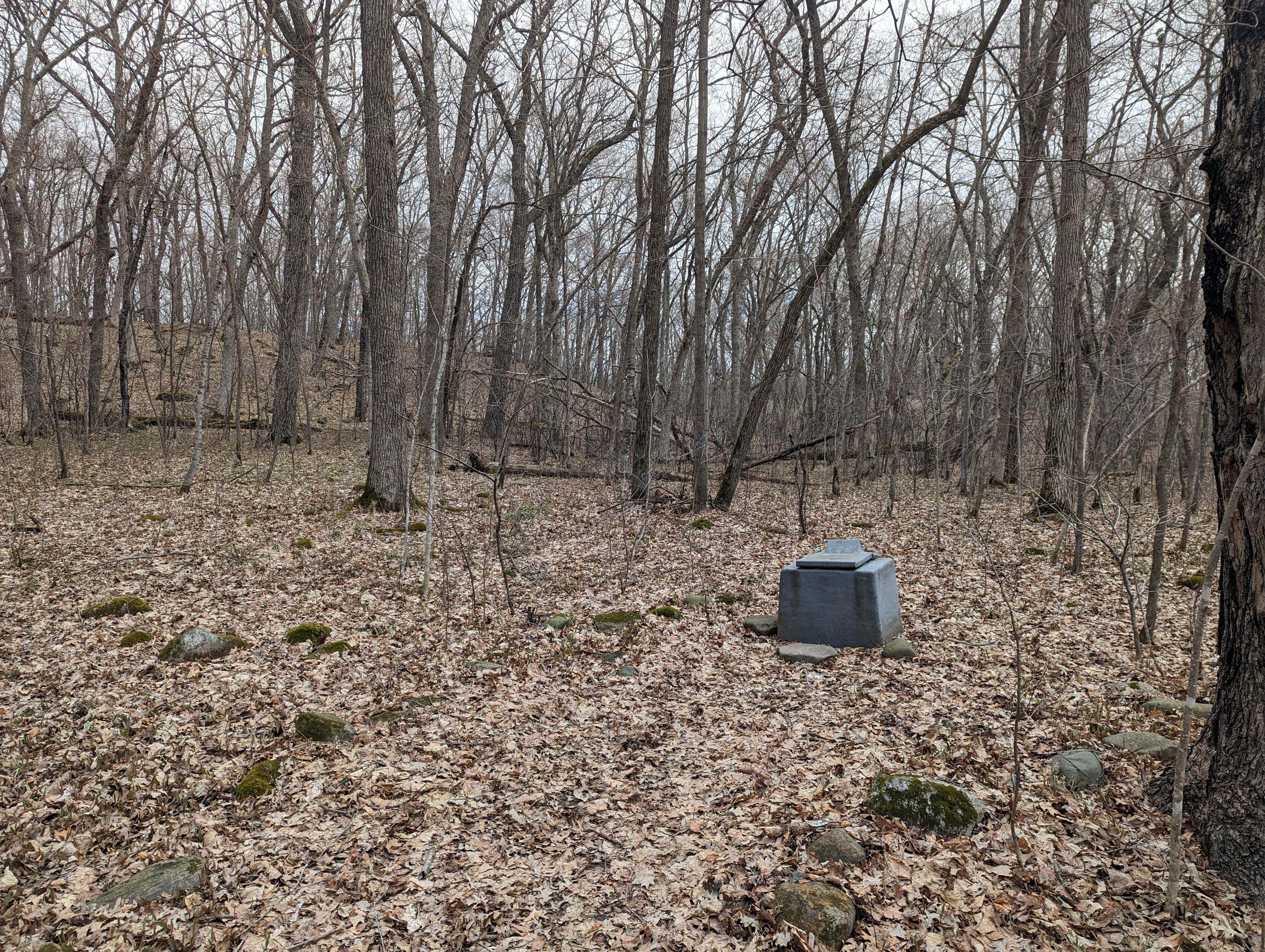 Camper submitted image from Sandy Cove on the St. Croix River - 1