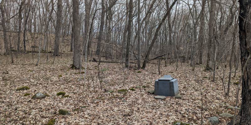 Camper submitted image from Sandy Cove on the St. Croix River