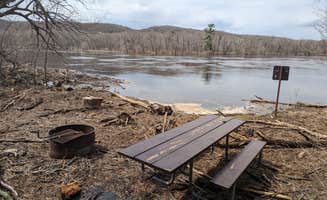 Travis B.'s photo of a dispersed camping area at Sandy Cove on the St. Croix River near Woodbury, MN