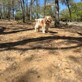 Review photo of Osage Hills State Park Campground by Lynzie T., April 23, 2023