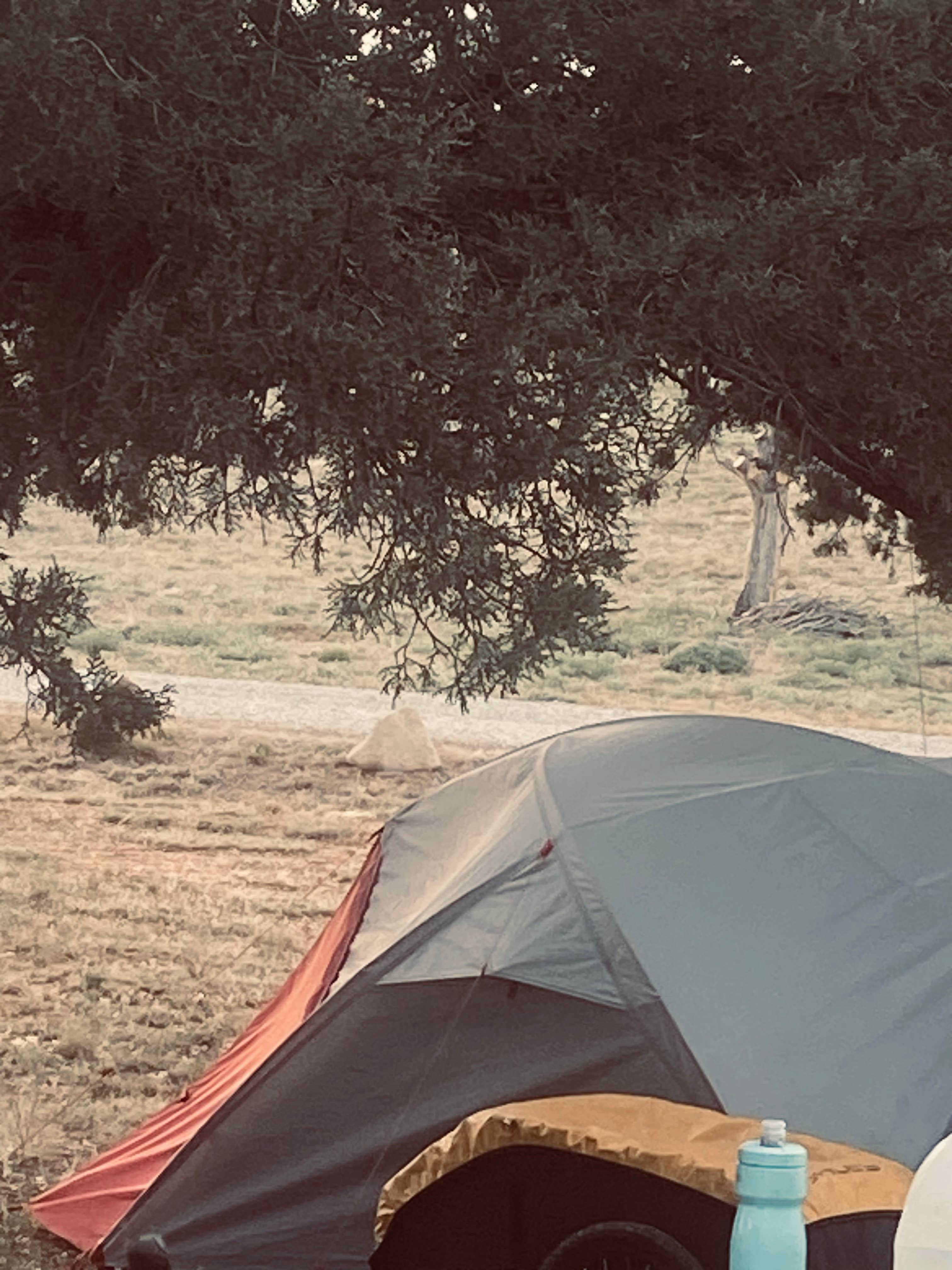 Robert H.'s photo at Ridge Park RV near Arenas Valley, NM