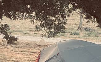 Robert H.'s photo at Ridge Park RV near Cliff, NM