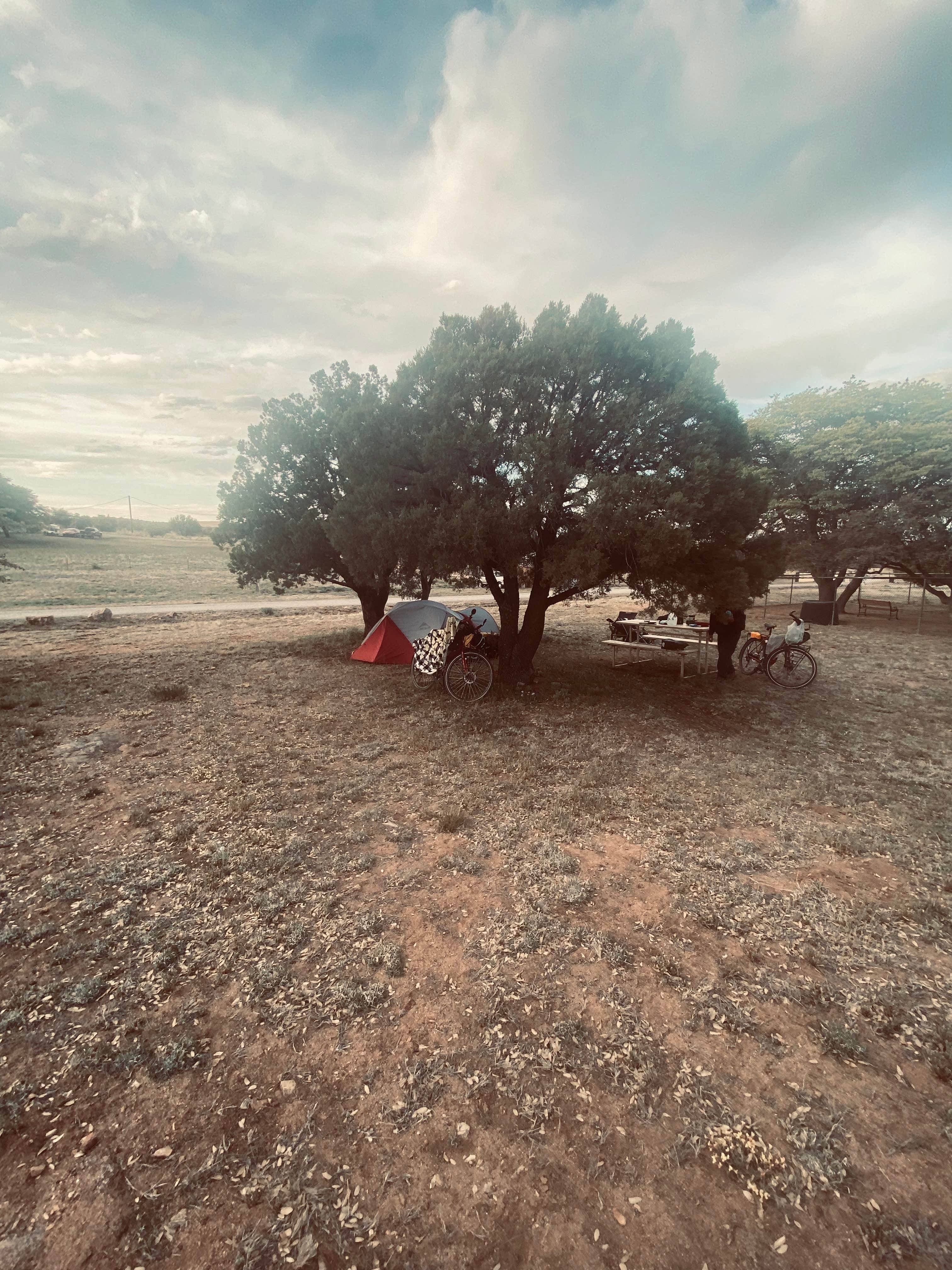 Camper-submitted photo at Ridge Park RV near Cliff, NM