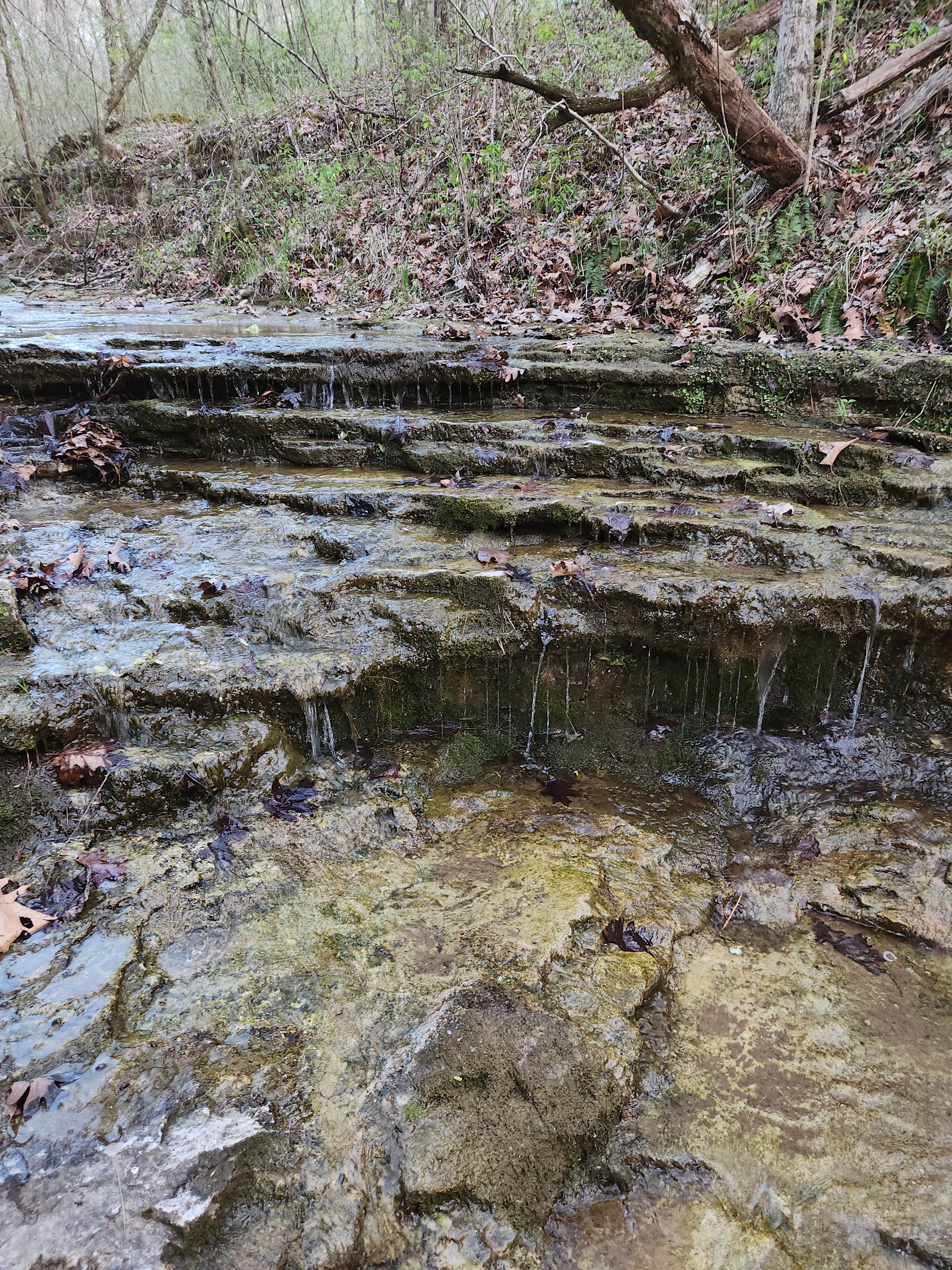 Camper-submitted photo at Hagood Farm and Trails near Glencoe, MO