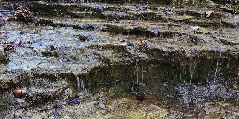 Camper submitted image from Hagood Farm and Trails