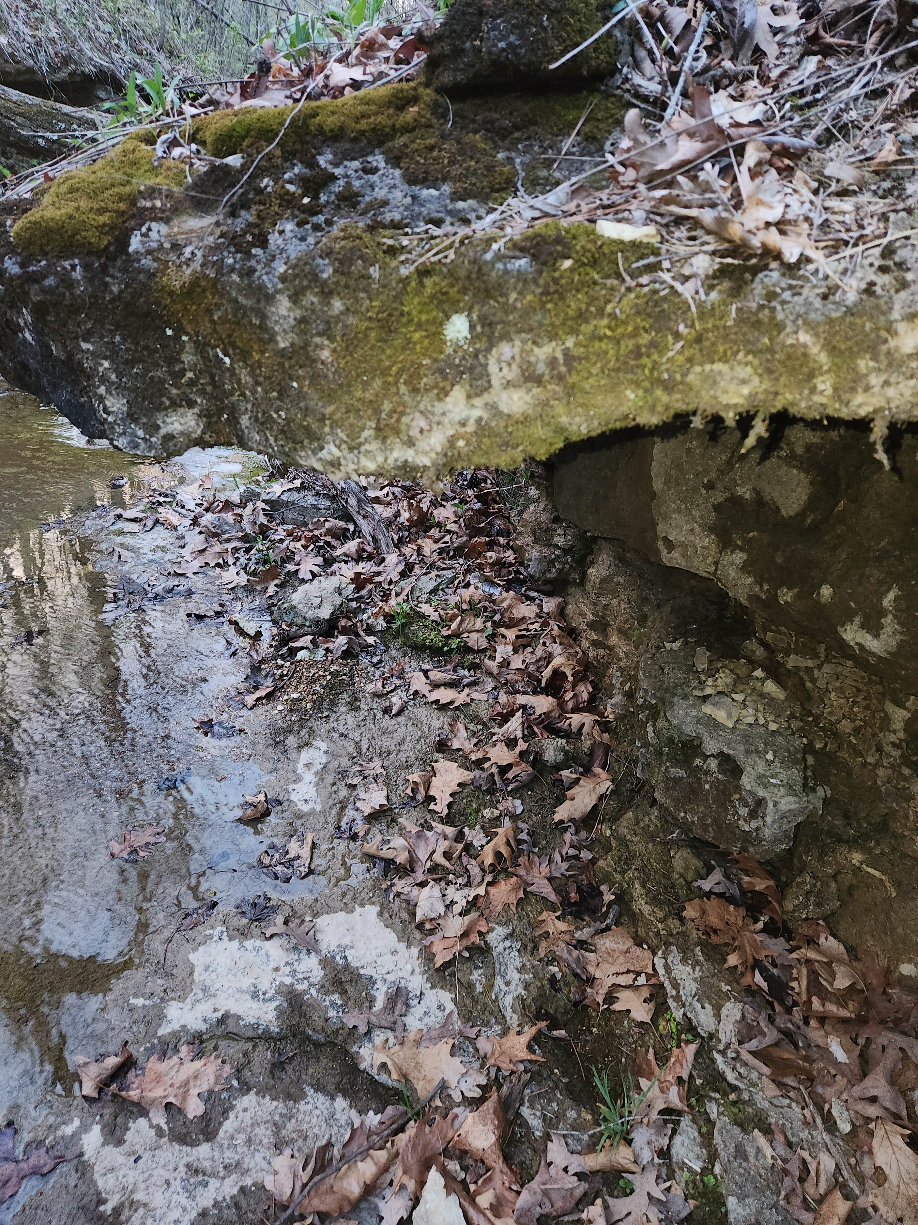 Camper-submitted photo at Hagood Farm and Trails near Glencoe, MO