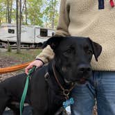 Review photo of Hillman Ferry Campground by Annie M., April 24, 2023