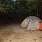 Review photo of Warren Dunes State Park Campground by Amy G., October 6, 2018