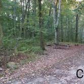 Review photo of French Creek State Park Campground by Mary S., October 6, 2018