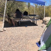 Review photo of Gilbert Ray Campground by Pedro G., April 24, 2023