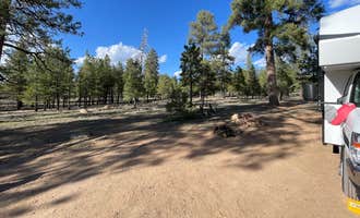Camping near Forest Service Road 686 - Dispersed: Fire Rd 688 - Dispersed, Grand Canyon, Arizona