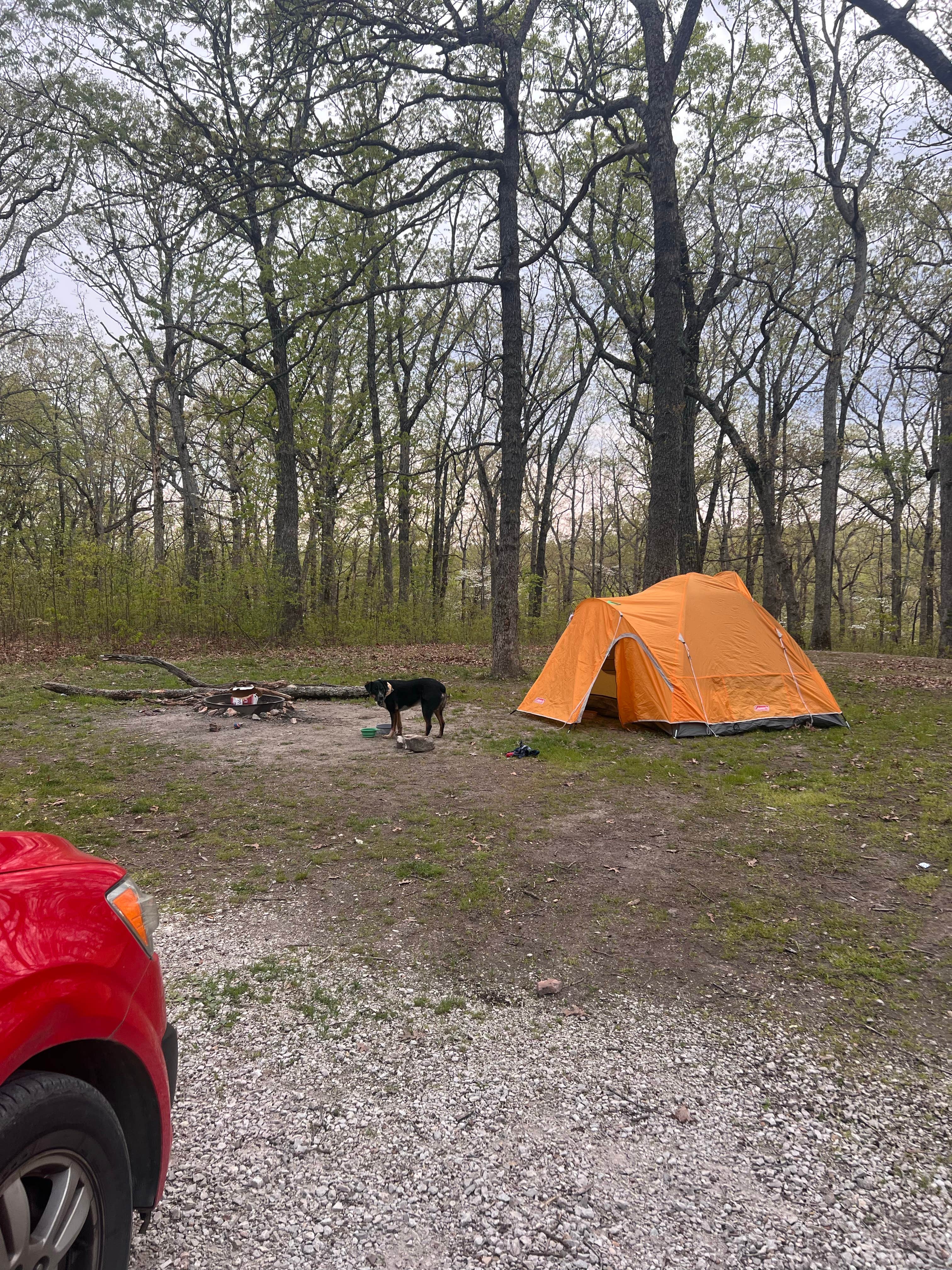 Clay D.'s photo at Danville Conservation Area near Silex, MO