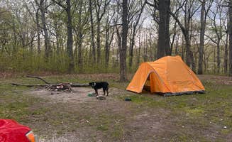 Clay D.'s photo of camping with pets at Danville Conservation Area near Foristell, MO