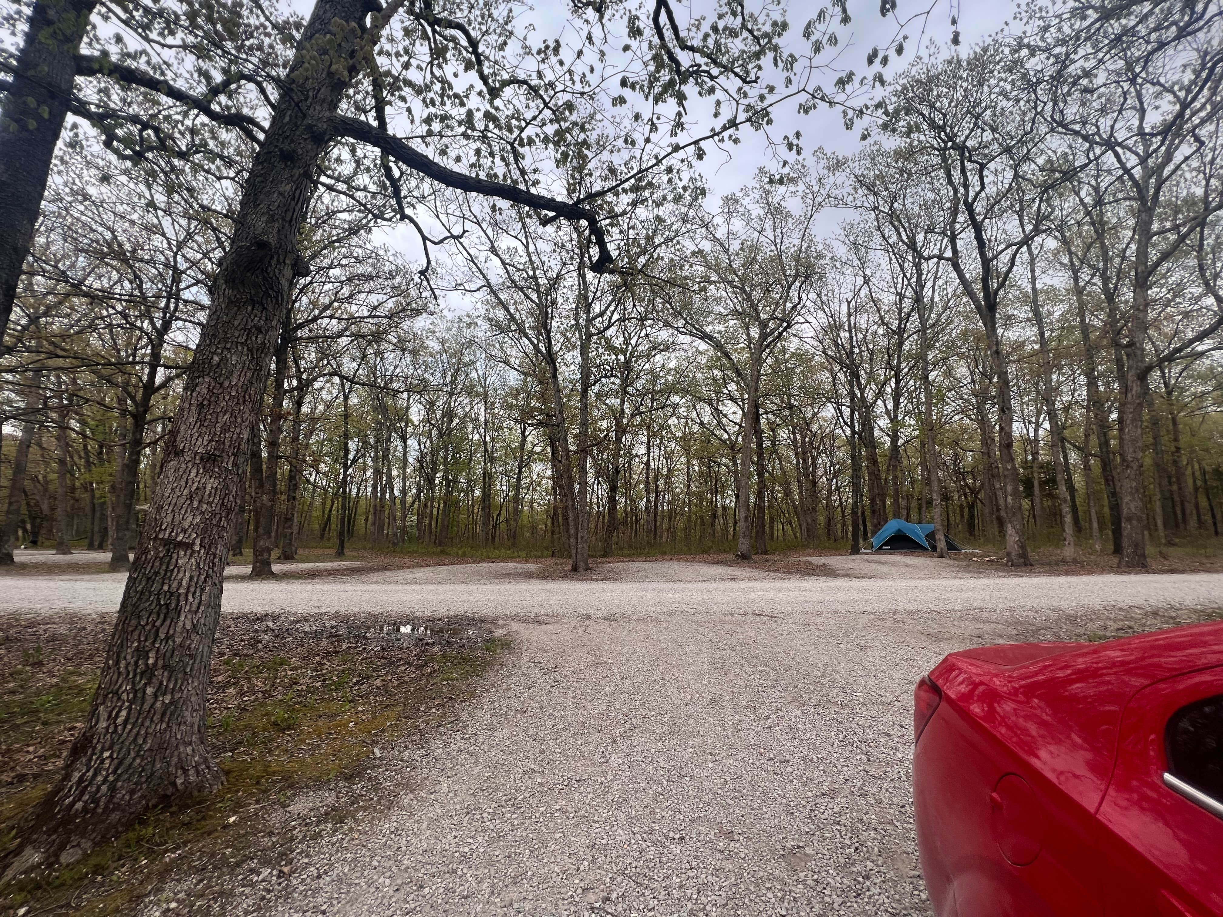 Camper submitted image from Danville Conservation Area - 4