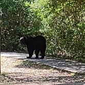 Review photo of Fred Gannon Rocky Bayou State Park by Sara L., April 25, 2023