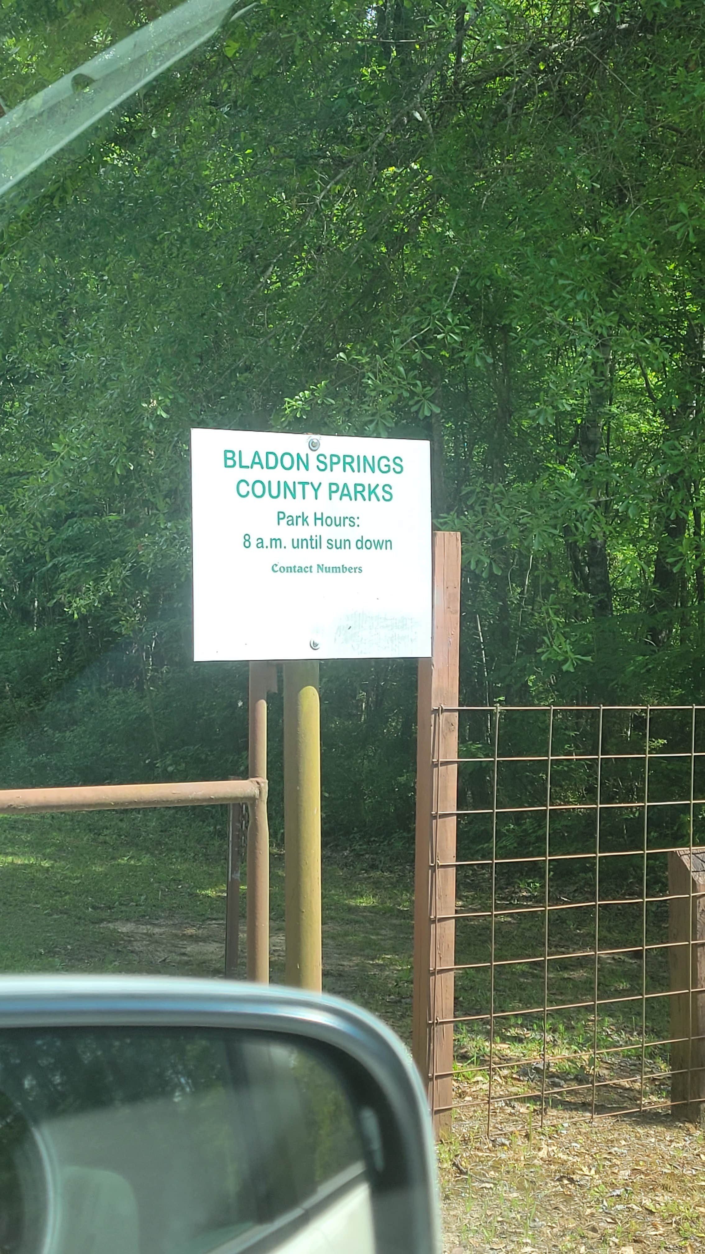 Camper-submitted photo at Bladon Springs State Park - Temporarily Closed near Silas, AL