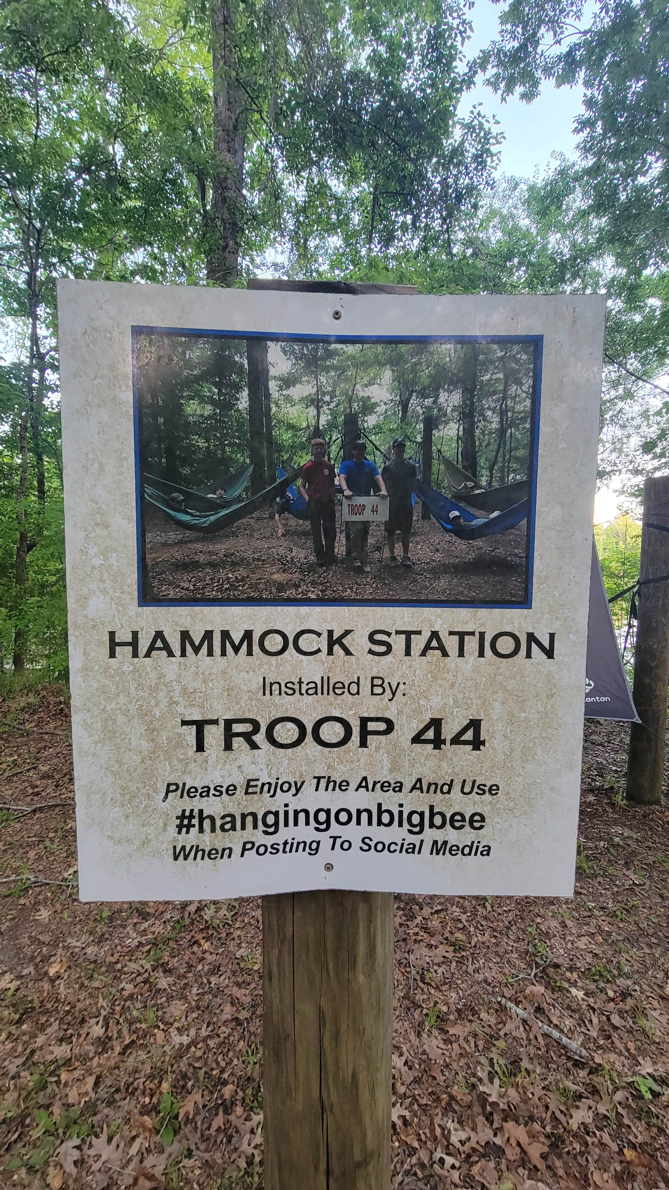 Camper submitted image from Lenoir Landing - 2