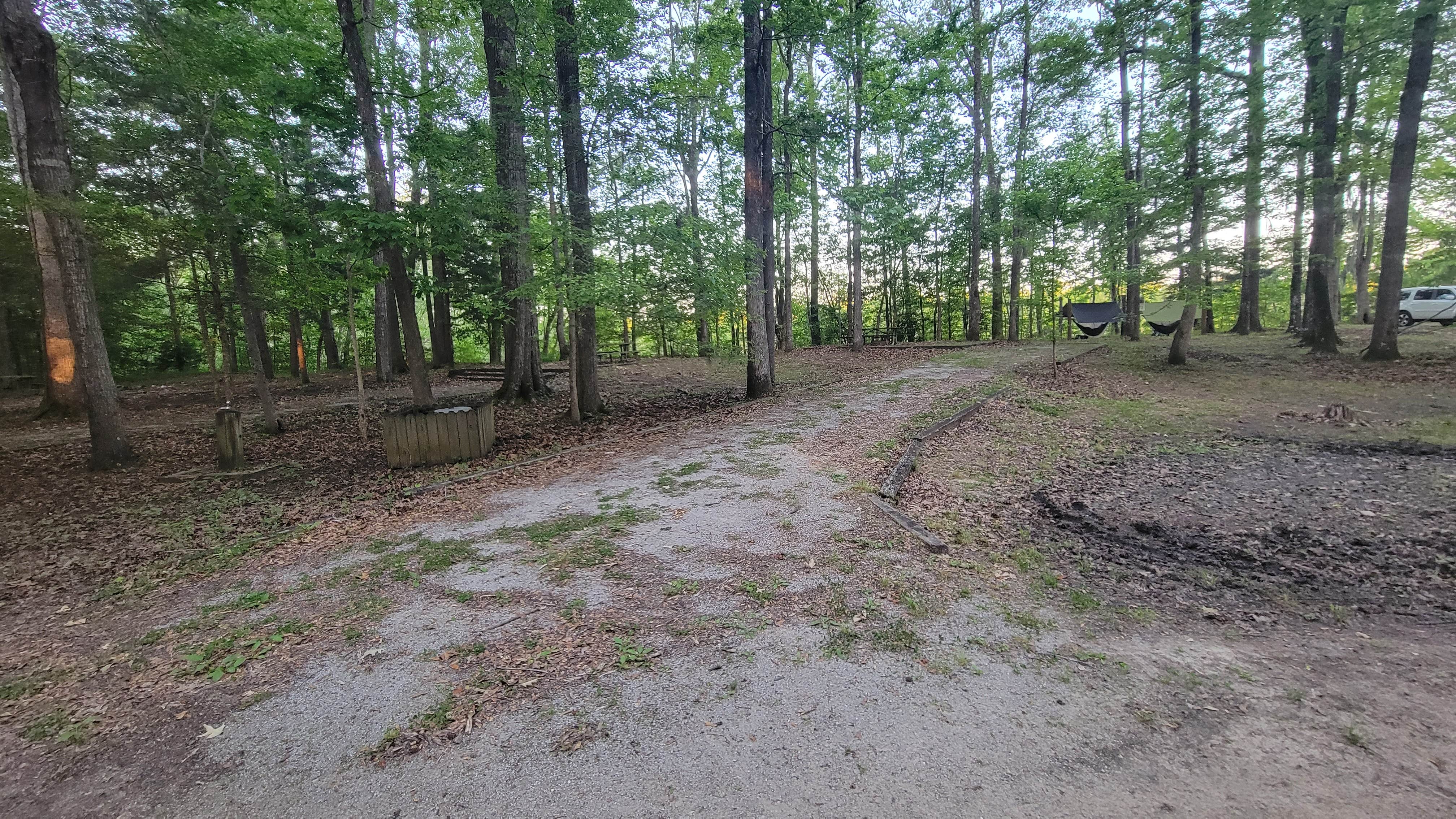 Camper submitted image from Lenoir Landing - 5