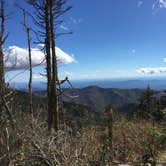 Review photo of Mount Mitchell State Park Campground by Andrea H., October 7, 2018