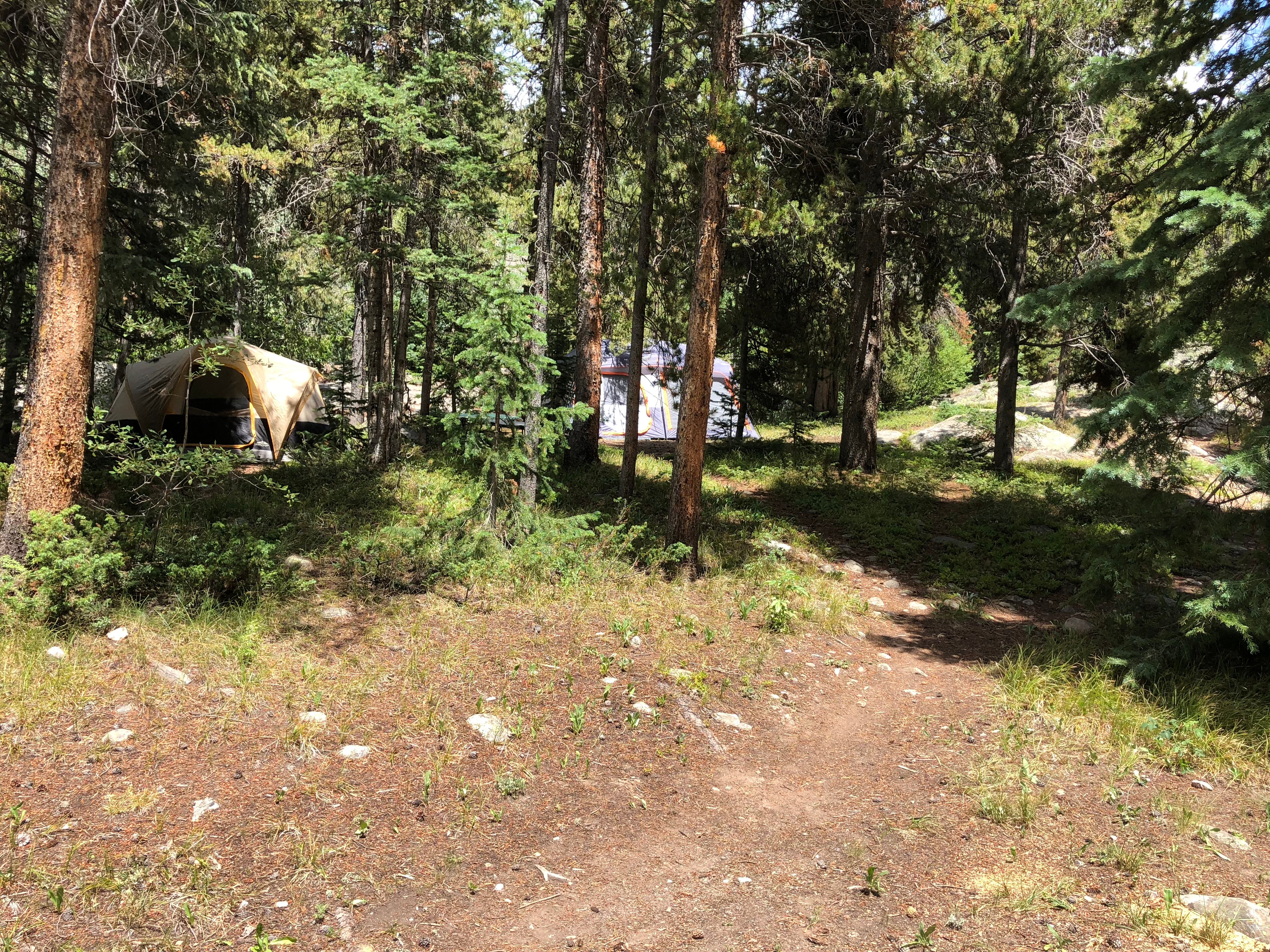 Camper submitted image from Lincoln Gulch Campground - 1
