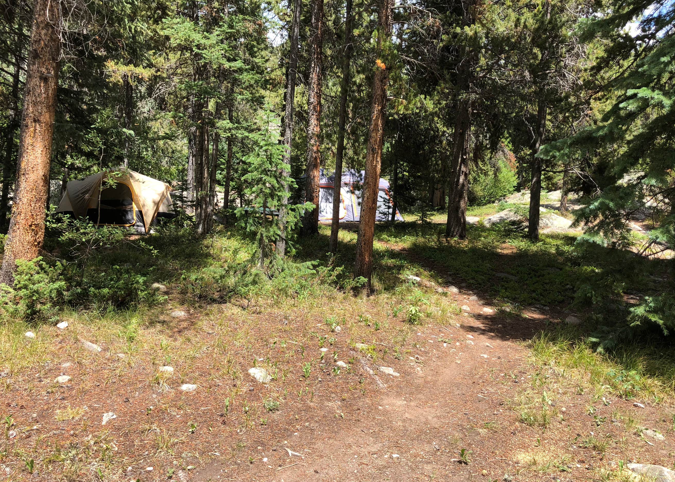 Lincoln Gulch Campground Camping The Dyrt