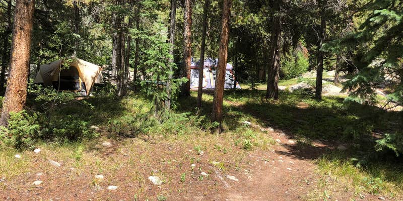 Camper submitted image from Lincoln Gulch Campground