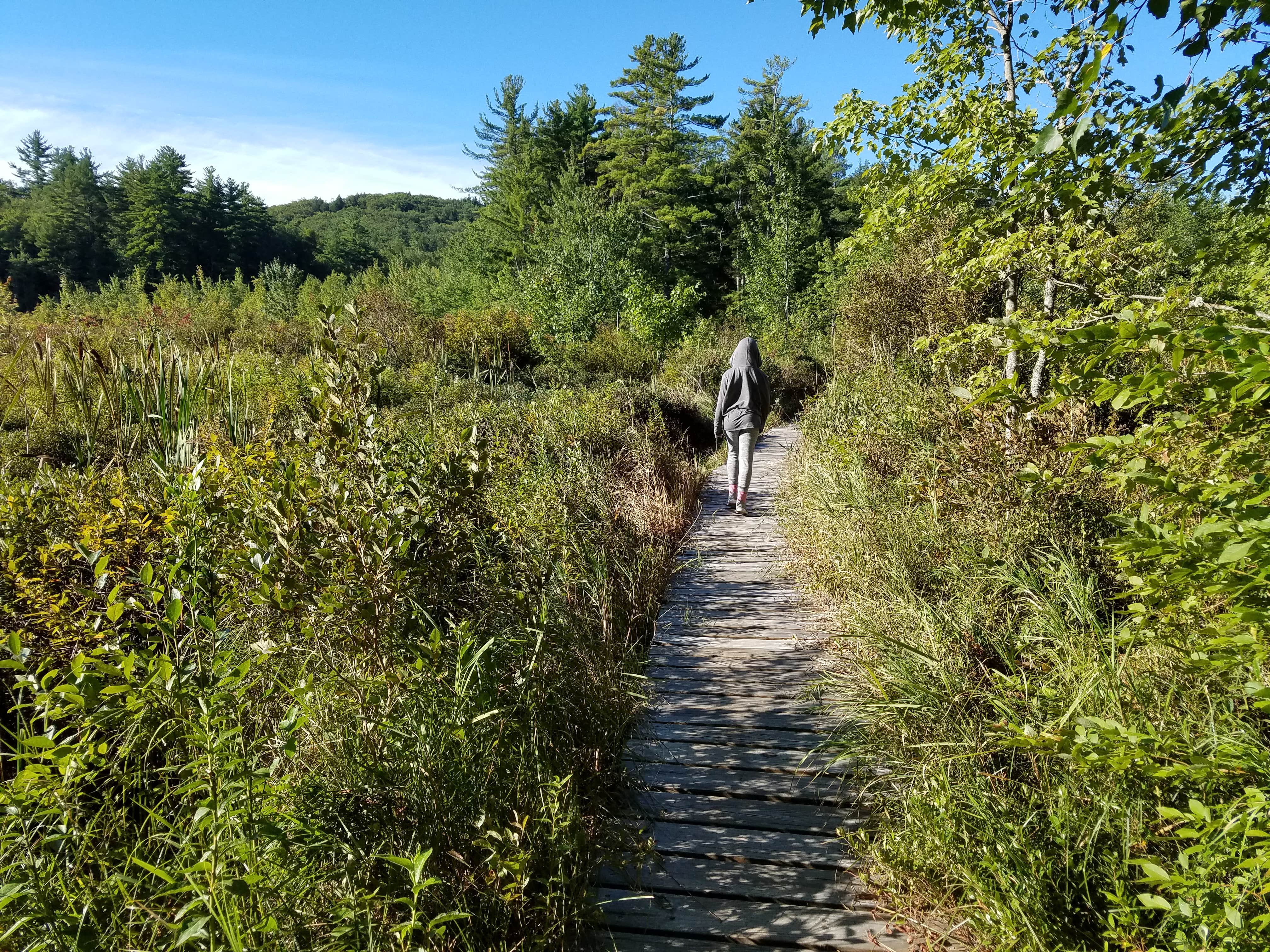 Camper submitted image from Bear Brook State Park Campground - 3