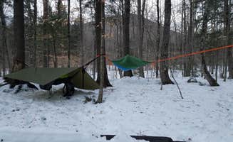 Ryan M.'s photo of tent camping at Fourth Iron Campground near Jefferson, NH