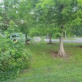Review photo of St. Bernard State Park Campground by Barbara , April 25, 2023