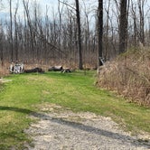 Review photo of Pinconning County Park by Zach B., April 25, 2023