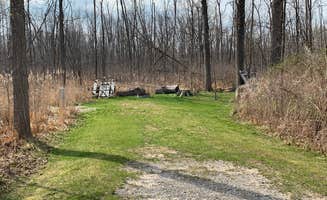 Zach B.'s photo of camping with pets at Pinconning County Park near Prescott, MI